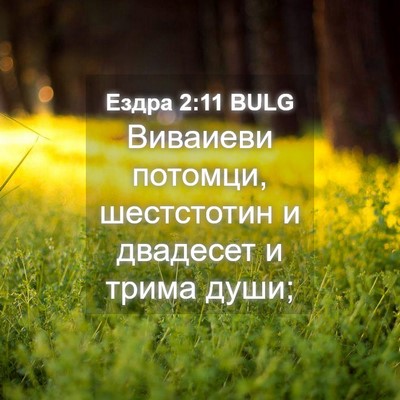 Picture 04 - Ездра 2:11 BULG - Виваиеви потомци, - Bible Verse Picture