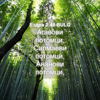 Picture 04 - Ездра 2:46 BULG - Агавови потомци, Салмаеви - Bible Verse Picture