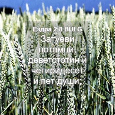 Picture 04 - Ездра 2:8 BULG - Затуеви потомци, - Bible Verse Picture
