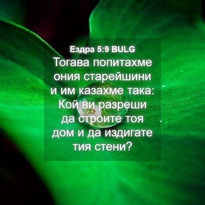 Picture 04 - Ездра 5:9 BULG - Тогава попитахме ония - Bible Verse Picture