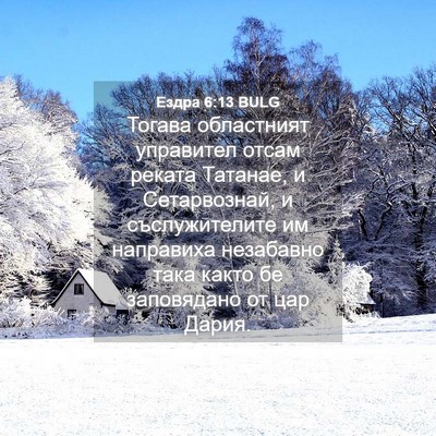 Picture 04 - Ездра 6:13 BULG - Тогава областният - Bible Verse Picture