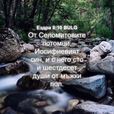 Picture 04 - Ездра 8:10 BULG - От Селомитовите потомци, - Bible Verse Picture