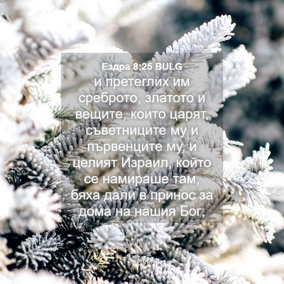 Picture 04 - Ездра 8:25 BULG - и претеглих им среброто, - Bible Verse Picture