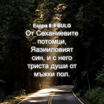 Picture 04 - Ездра 8:5 BULG - От Сеханиевите потомци, - Bible Verse Picture