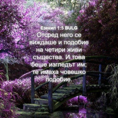 Picture 04 - Езекил 1:5 BULG - Отсред него се виждаше и - Bible Verse Picture