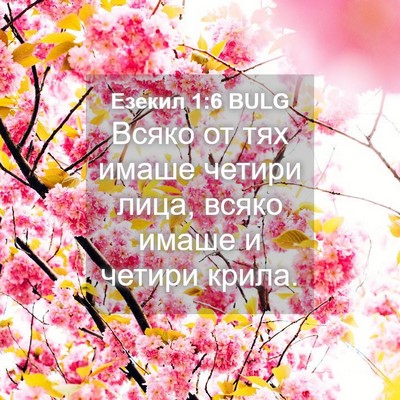 Picture 04 - Езекил 1:6 BULG - Всяко от тях имаше четири - Bible Verse Picture