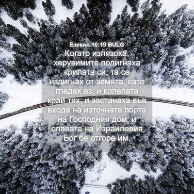 Picture 04 - Езекил 10:19 BULG - Когато излязоха, - Bible Verse Picture