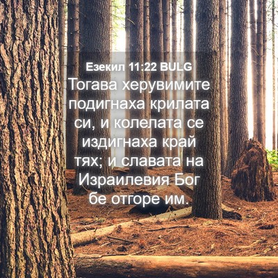 Picture 04 - Езекил 11:22 BULG - Тогава херувимите - Bible Verse Picture