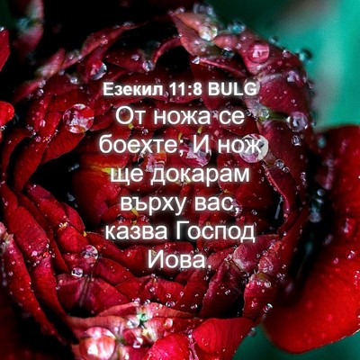 Picture 04 - Езекил 11:8 BULG - От ножа се боехте; И нож ще - Bible Verse Picture