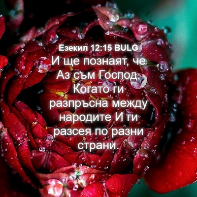 Picture 04 - Езекил 12:15 BULG - И ще познаят, че Аз съм - Bible Verse Picture