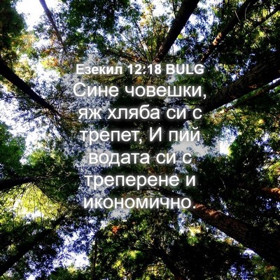 Picture 04 - Езекил 12:18 BULG - Сине човешки, яж хляба си с - Bible Verse Picture