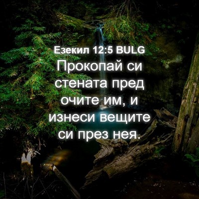 Picture 04 - Езекил 12:5 BULG - Прокопай си стената пред - Bible Verse Picture