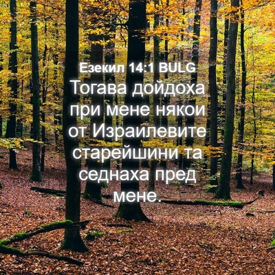 Picture 04 - Езекил 14:1 BULG - Тогава дойдоха при мене - Bible Verse Picture
