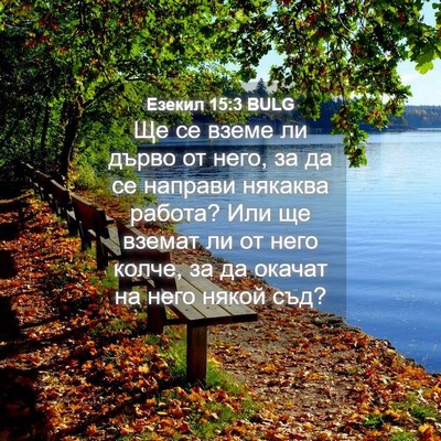 Picture 04 - Езекил 15:3 BULG - Ще се вземе ли дърво от - Bible Verse Picture