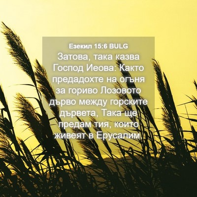 Picture 04 - Езекил 15:6 BULG - Затова, така казва Господ - Bible Verse Picture