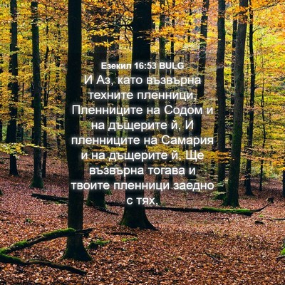 Picture 04 - Езекил 16:53 BULG - И Аз, като възвърна техните - Bible Verse Picture