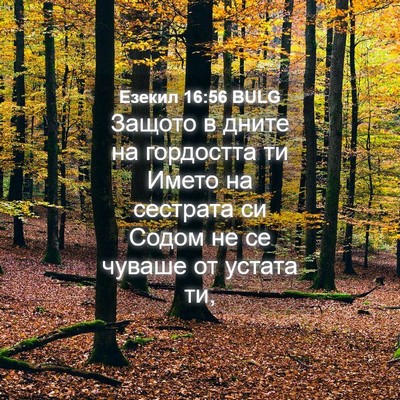 Picture 04 - Езекил 16:56 BULG - Защото в дните на - Bible Verse Picture