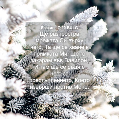 Picture 04 - Езекил 17:20 BULG - Ще разпростра мрежата Си - Bible Verse Picture