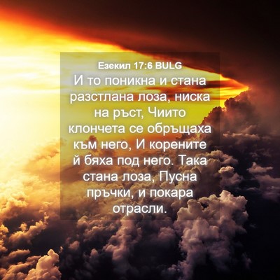 Picture 04 - Езекил 17:6 BULG - И то поникна и стана - Bible Verse Picture