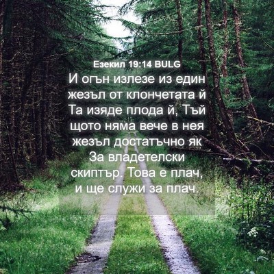 Picture 04 - Езекил 19:14 BULG - И огън излезе из един жезъл - Bible Verse Picture