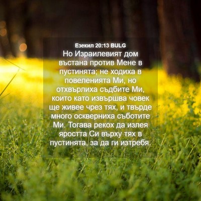 Picture 04 - Езекил 20:13 BULG - Но Израилевият дом въстана - Bible Verse Picture