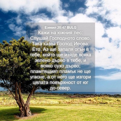 Picture 04 - Езекил 20:47 BULG - Кажи на южния лес: Слушай - Bible Verse Picture