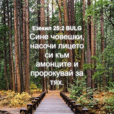 Picture 04 - Езекил 25:2 BULG - Сине човешки, насочи - Bible Verse Picture