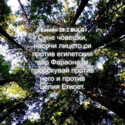 Picture 04 - Езекил 29:2 BULG - Сине човешки, насочи - Bible Verse Picture