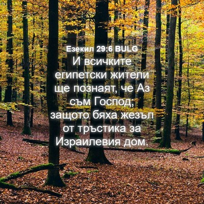Picture 04 - Езекил 29:6 BULG - И всичките египетски - Bible Verse Picture