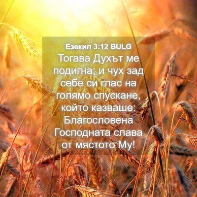 Picture 04 - Езекил 3:12 BULG - Тогава Духът ме подигна; и - Bible Verse Picture