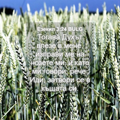 Picture 04 - Езекил 3:24 BULG - Тогава Духът влезе в мене, - Bible Verse Picture