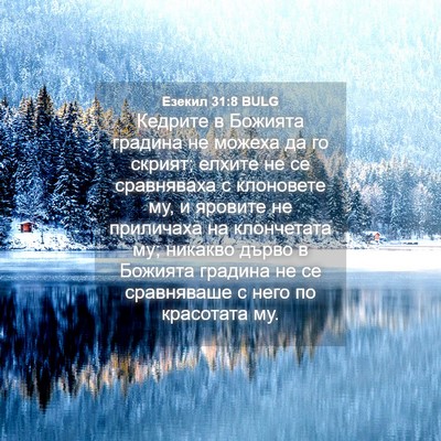 Picture 04 - Езекил 31:8 BULG - Кедрите в Божията градина - Bible Verse Picture