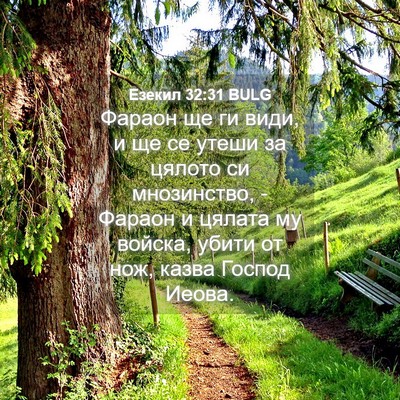 Picture 04 - Езекил 32:31 BULG - Фараон ще ги види, и ще се - Bible Verse Picture