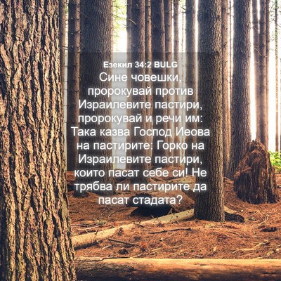 Picture 04 - Езекил 34:2 BULG - Сине човешки, пророкувай - Bible Verse Picture