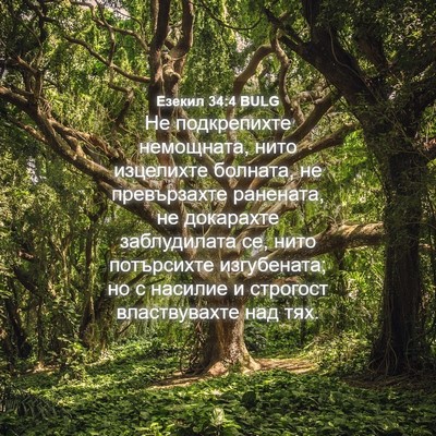 Picture 04 - Езекил 34:4 BULG - Не подкрепихте немощната, - Bible Verse Picture