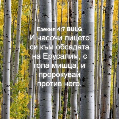 Picture 04 - Езекил 4:7 BULG - И насочи лицето си към - Bible Verse Picture
