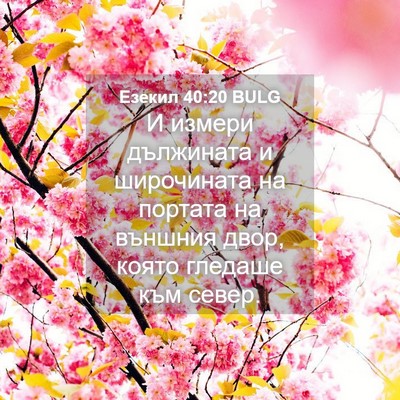 Picture 04 - Езекил 40:20 BULG - И измери дължината и - Bible Verse Picture