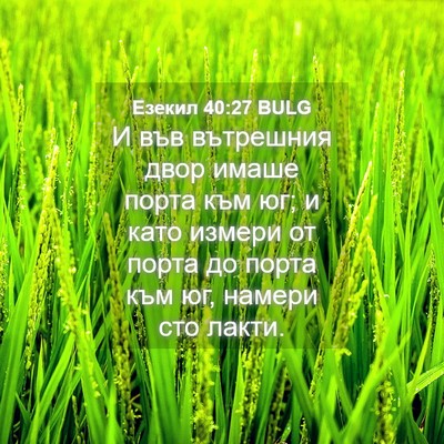 Picture 04 - Езекил 40:27 BULG - И във вътрешния двор имаше - Bible Verse Picture