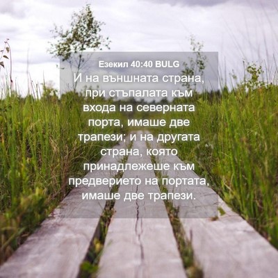 Picture 04 - Езекил 40:40 BULG - И на външната страна, при - Bible Verse Picture
