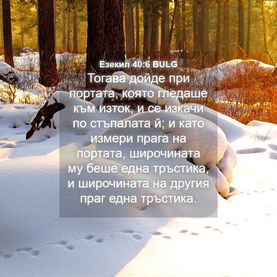 Picture 04 - Езекил 40:6 BULG - Тогава дойде при портата, - Bible Verse Picture