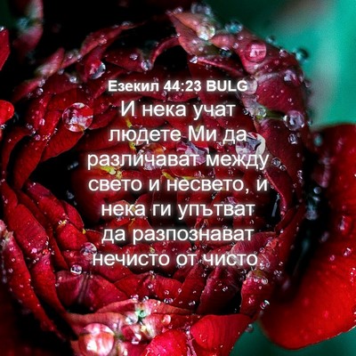 Picture 04 - Езекил 44:23 BULG - И нека учат людете Ми да - Bible Verse Picture
