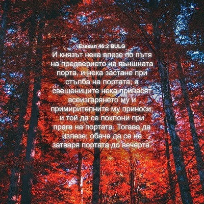 Picture 04 - Езекил 46:2 BULG - И князът нека влезе по пътя - Bible Verse Picture