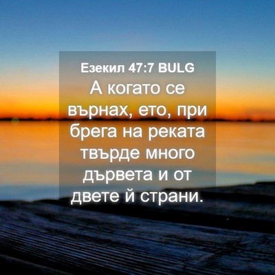 Picture 04 - Езекил 47:7 BULG - А когато се върнах, ето, при - Bible Verse Picture