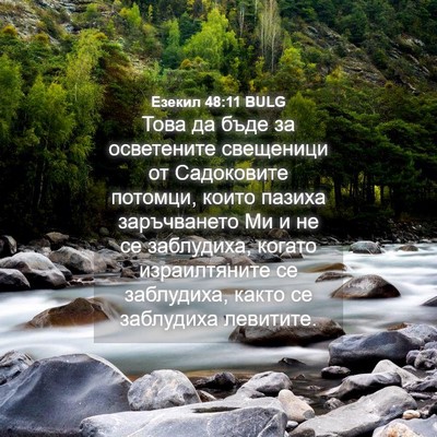 Picture 04 - Езекил 48:11 BULG - Това да бъде за осветените - Bible Verse Picture