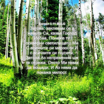Picture 04 - Езекил 5:11 BULG - Затова, заклевам се в - Bible Verse Picture