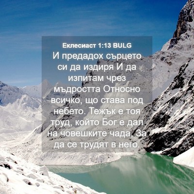 Picture 04 - Еклесиаст 1:13 BULG - И предадох сърцето си да - Bible Verse Picture