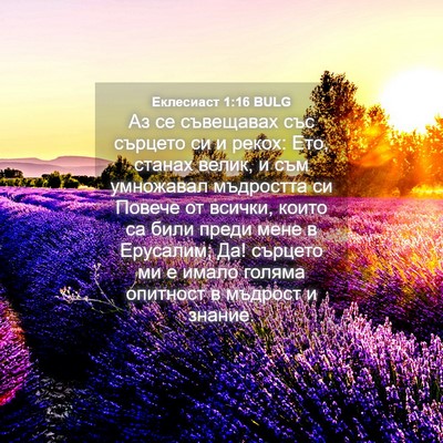 Picture 04 - Еклесиаст 1:16 BULG - Аз се съвещавах със - Bible Verse Picture