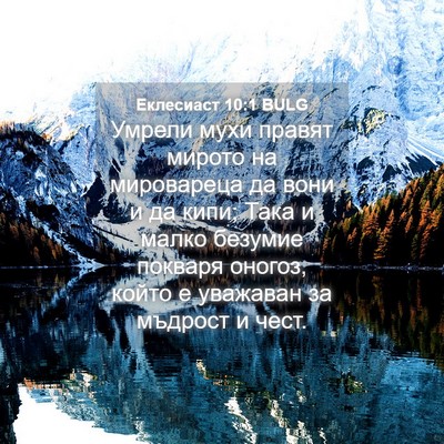 Picture 04 - Еклесиаст 10:1 BULG - Умрели мухи правят мирото - Bible Verse Picture