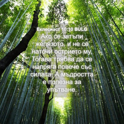 Picture 04 - Еклесиаст 10:10 BULG - Ако се затъпи желязото, и - Bible Verse Picture