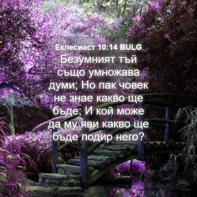 Picture 04 - Еклесиаст 10:14 BULG - Безумният тъй също - Bible Verse Picture